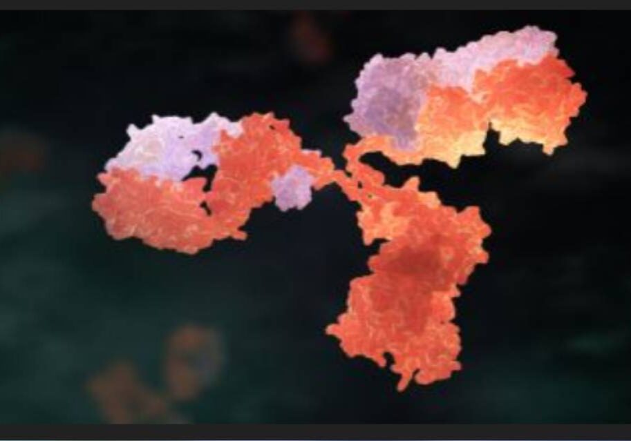 A picture of some flowers in the dark.